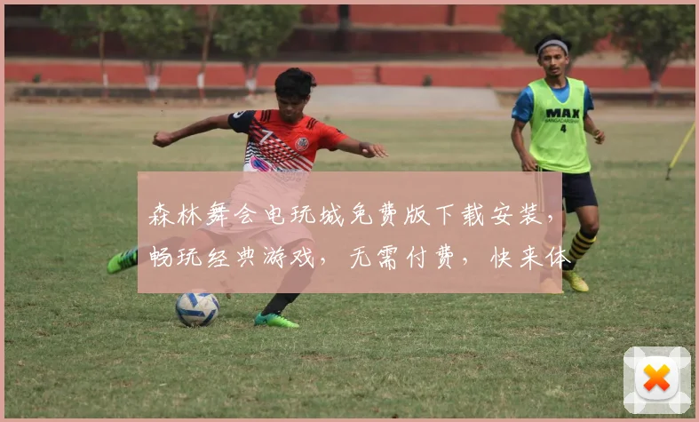 森林舞会电玩城免费版下载安装，畅玩经典游戏，无需付费，快来体验
