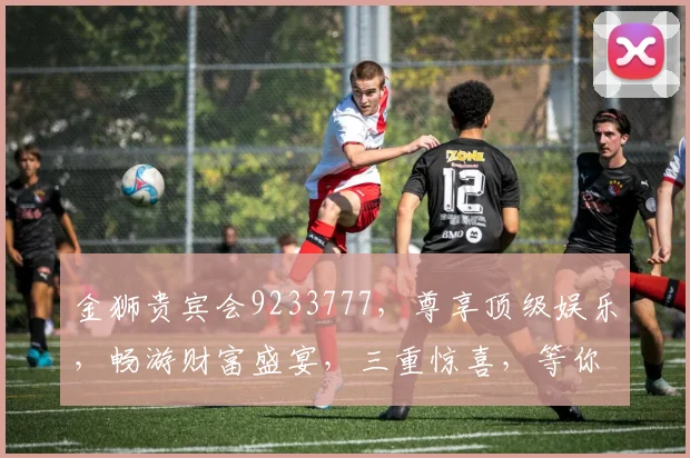 金狮贵宾会9233777，尊享顶级娱乐，畅游财富盛宴，三重惊喜，等你来挑战
